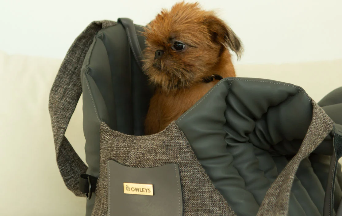 Prague Ratter Dog Carrier Car Seat for Mercedes-Benz GLC